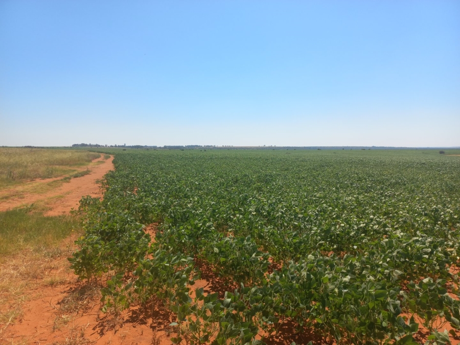 Commercial Property for Sale in Theunissen Free State